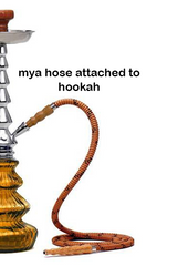 buy mya hookah pipe of mya hookah hose online in cheap price online